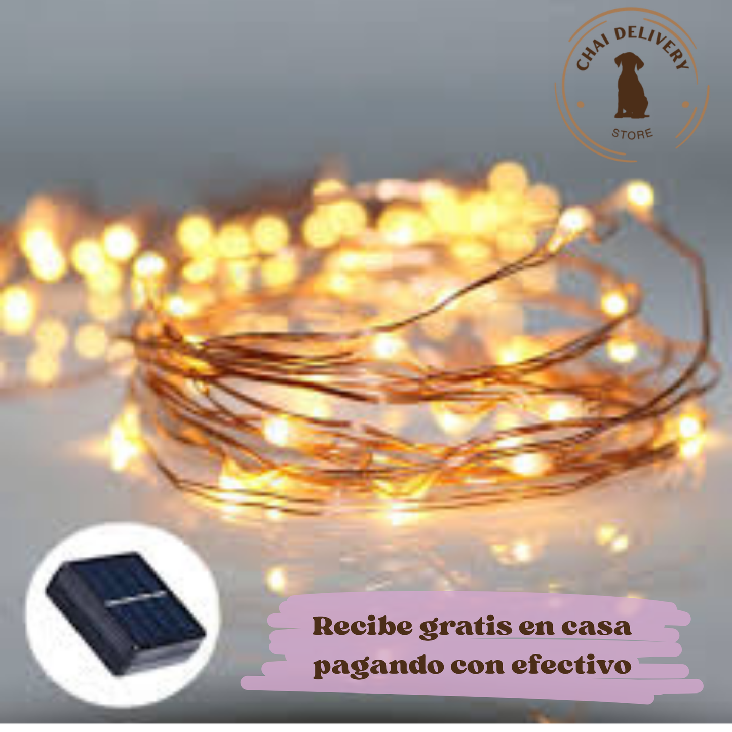 CADENA LUCES SOLARES (DORADA) 100 LED 10 METROS
